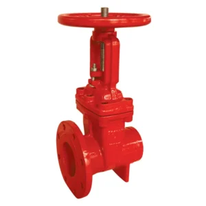 Gate Valve 200 PSI – OS&Y Type Flanged x Grooved End